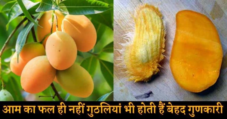 आम की गुठलियों से होने वाले जबरदस्त फायदों के बारे में जानकर हैरान रह जाएंगे आप