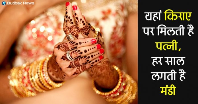 a place where you can buy wife on rent