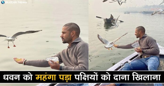 Shikhar Dhawan In Trouble After Feeding Birds 696x365