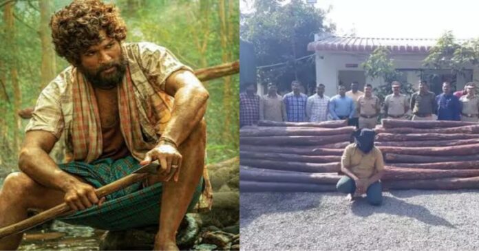 Pushpa Allu Arjun Movie 696x365