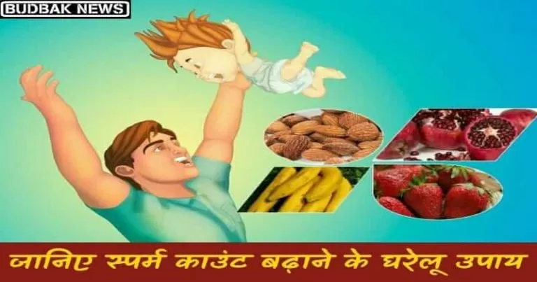 Foods that increase sperm count