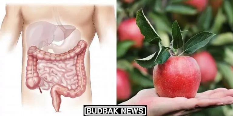 liver ko strong kaise banaye