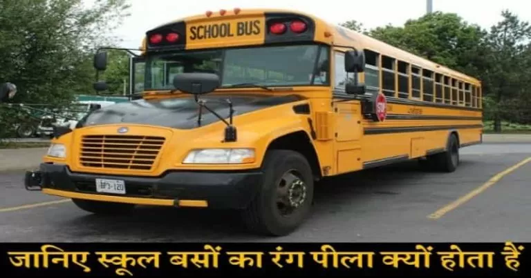 क्या आप जानते हैं सभी स्कूल बसों का रंग पीला ही क्यों होता है, इसके पीछे है बहुत बड़ा कारण