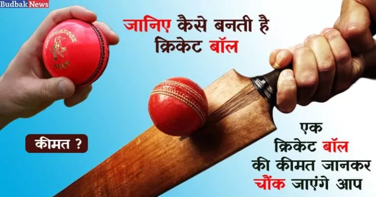 एक क्रिकेट बॉल की कीमत क्या होती हैं ? कैसे बनाई जाती हैं कूकाबुरा क्रिकेट गेंद, देखिए विडियो