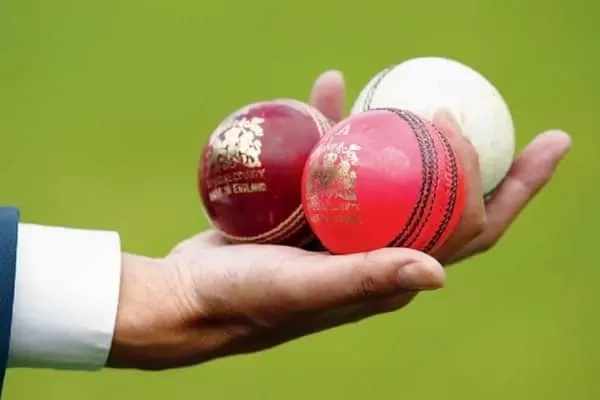 Kookaburra cricket ball price