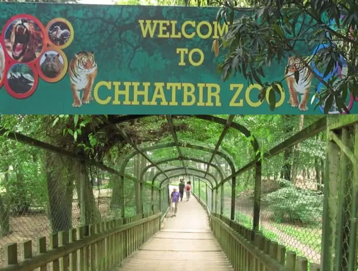 chhatbir-zoo chandigarh