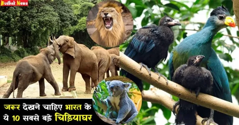 Top 10 biggest zoos in India