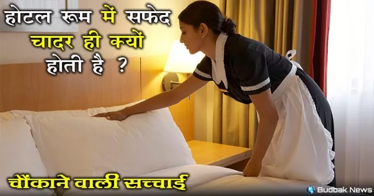why-hotels-room-have-white-bed-sheets