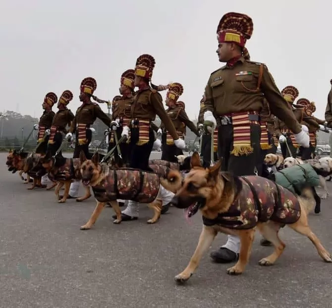 Indian Army Dog