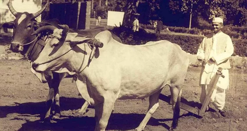 Lal Bahadur Shastri Ji