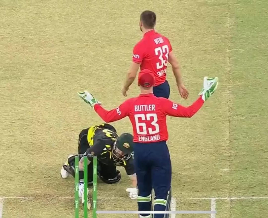 FB IMG 1665321317238